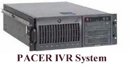custom IVR systems